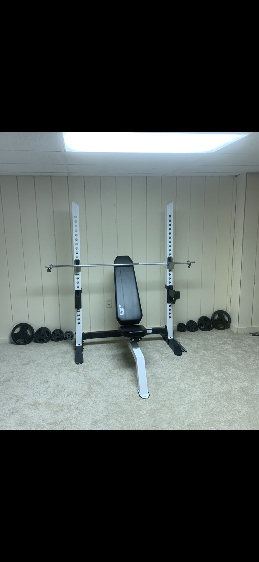 Weight Bench and Weights