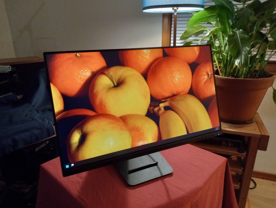 Viewsonic TD2455 touchscreen monitor