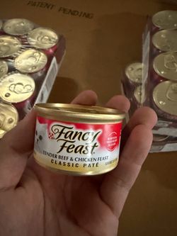 Cat food