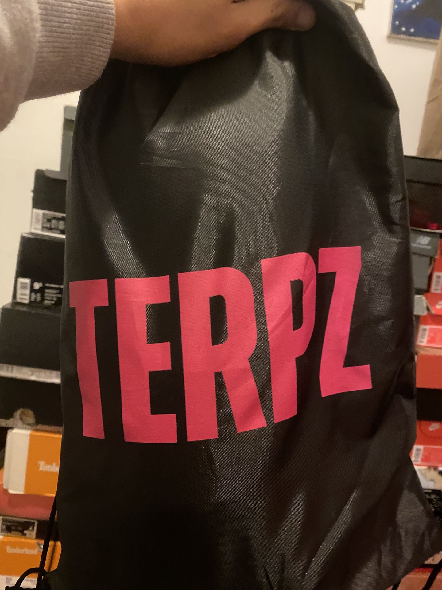 Brand New Terpz Boxing Gloves
