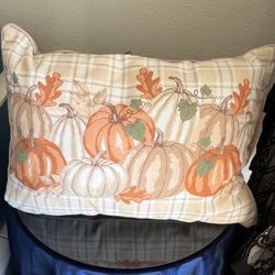 Fall Themed Pillow