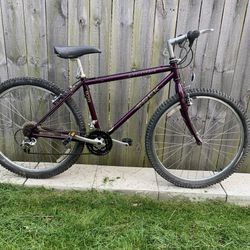 Trek 920 Full Chromoly Frame