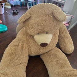 Big Teddy Bear