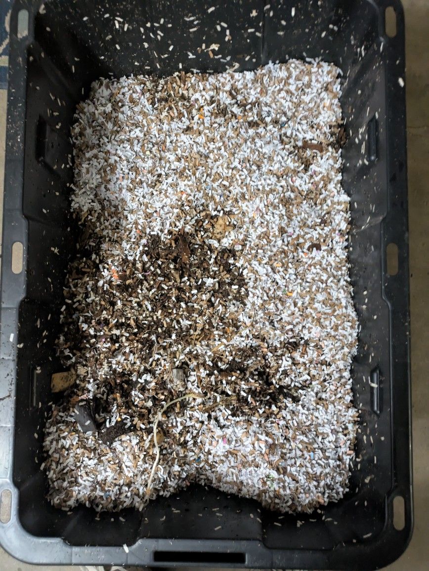 Worm Farm