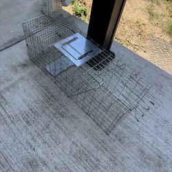 Cat Trap 