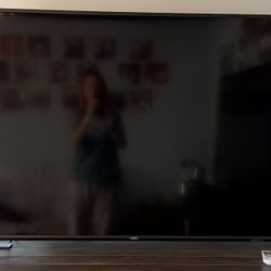 Vizio TV