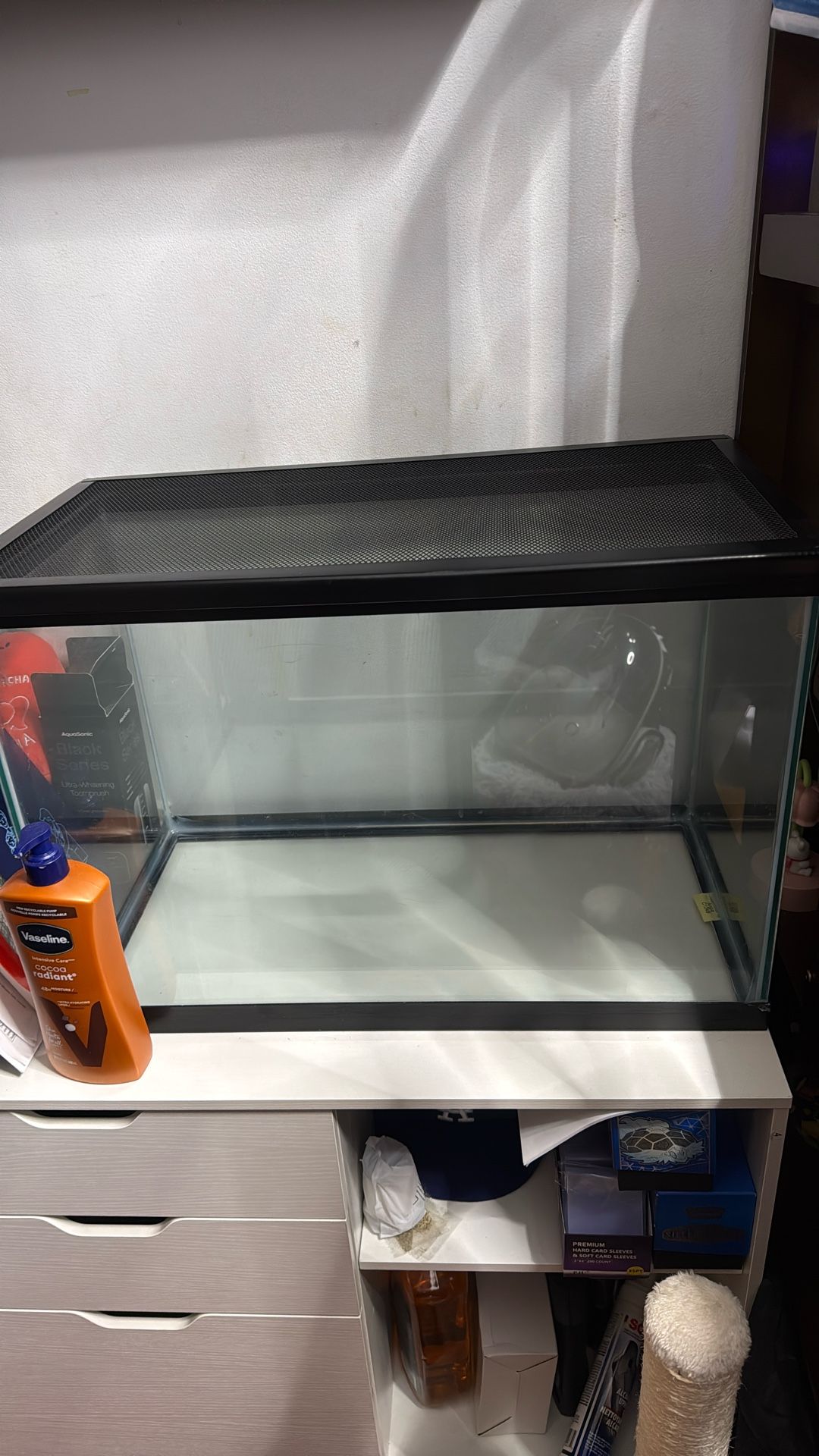 20 Gallon Tank With Mesh Lid