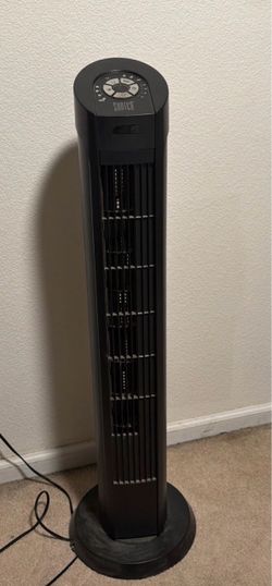 Fan