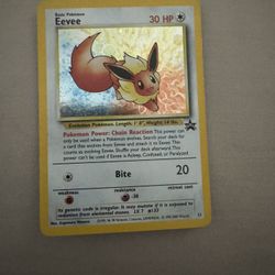 Eevee 11