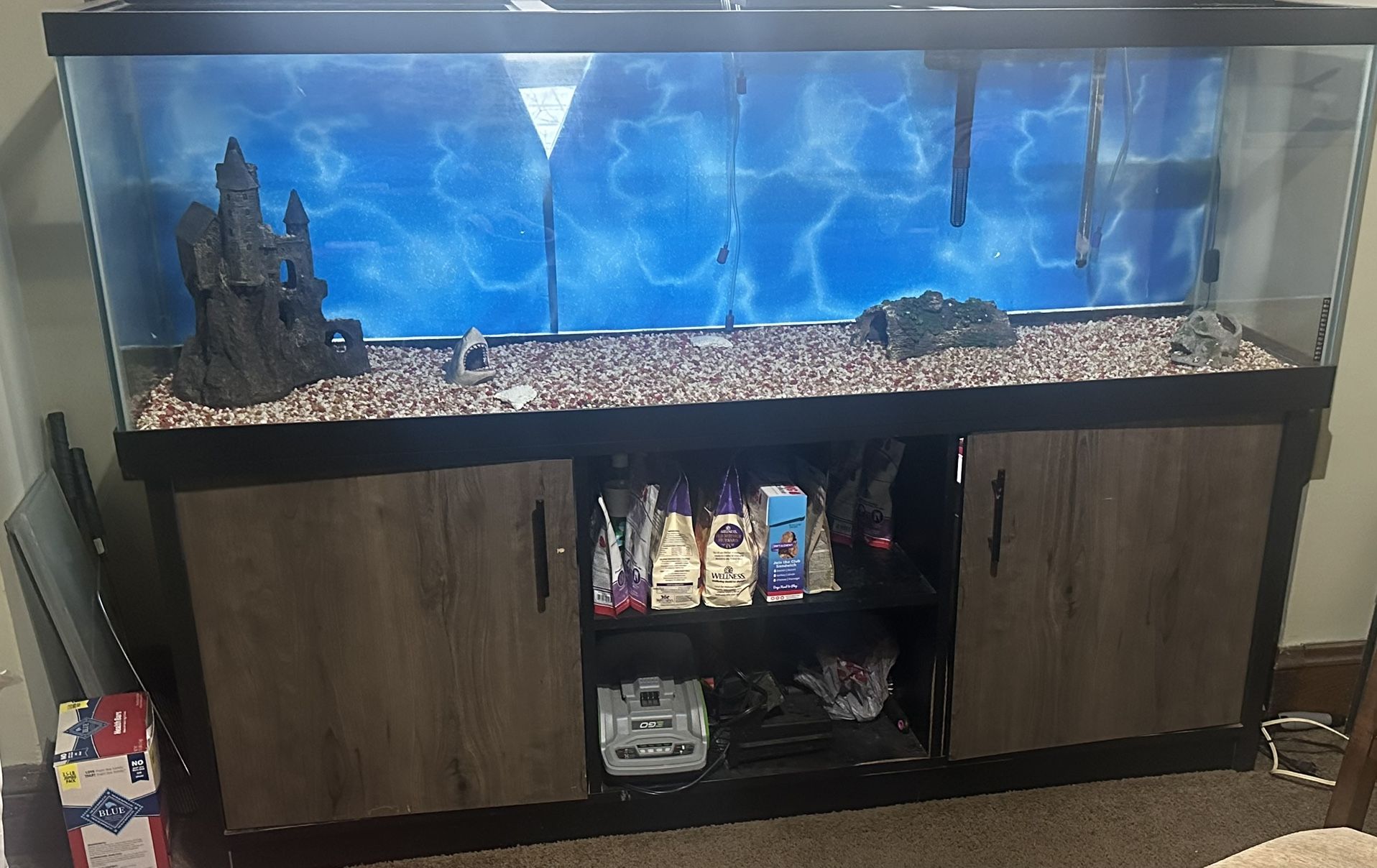 125 Gallon Fish Tank