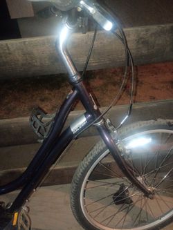 Raleigh  girls mountain bike