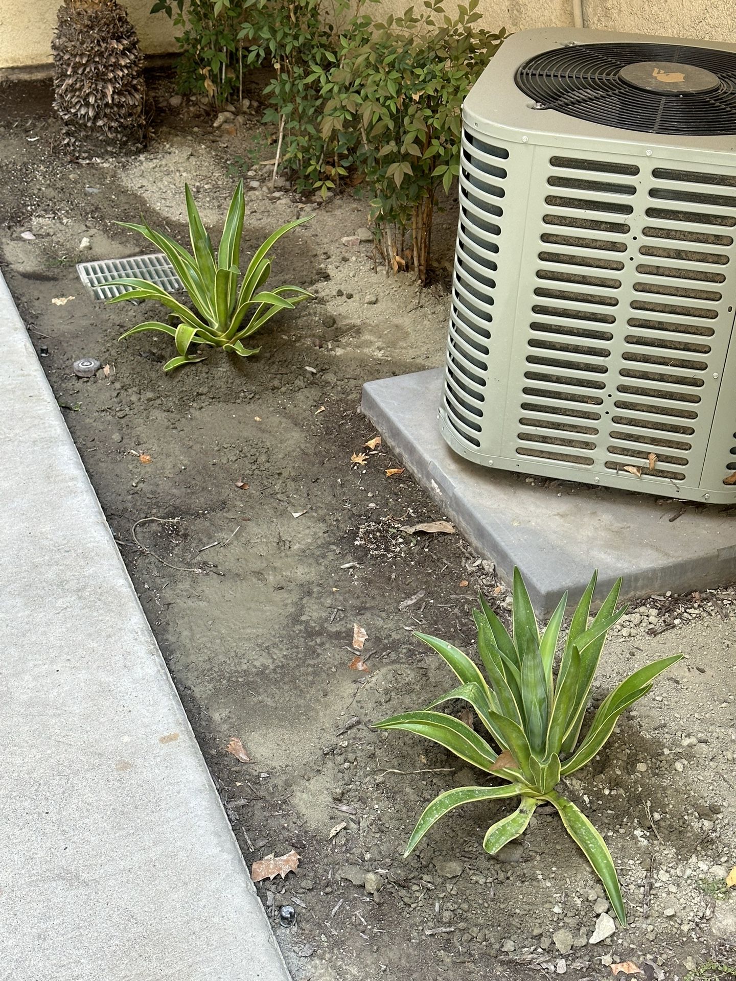 Rock Installation Lawn & Garden