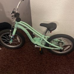 Electra Bike