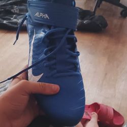 Alpha Nike Blue