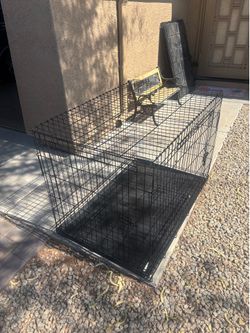 Big dog cage