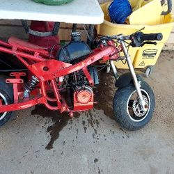 Little Pocket Rocket 