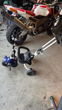 Convertible push trike.