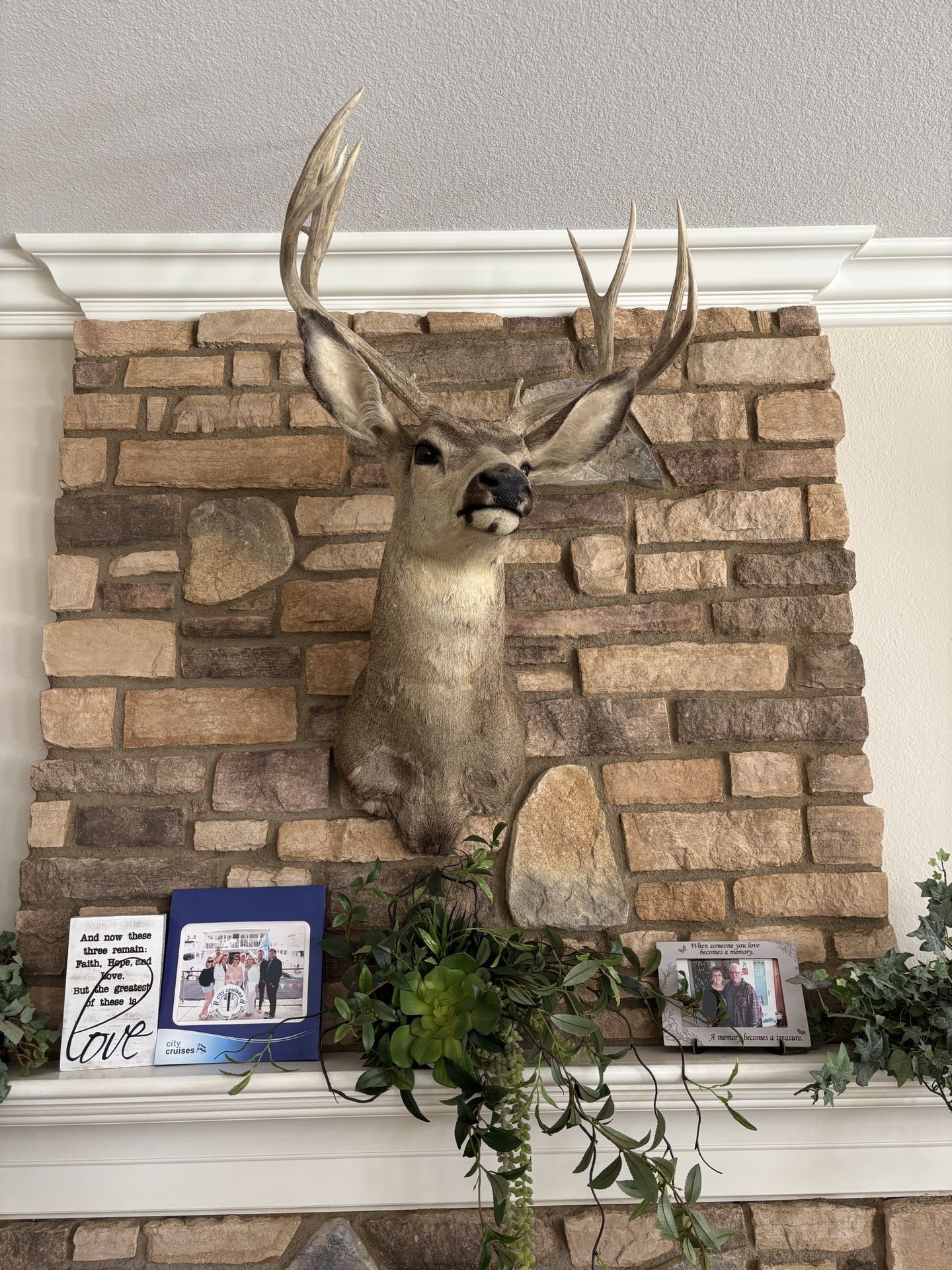 Taxidermy