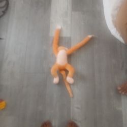 Monkey brown