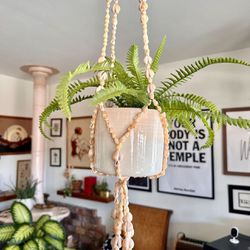 Vintage Retro Pooka Sea Shell Hanging Flower Pot Plant Hanger Holder 43” - NEW