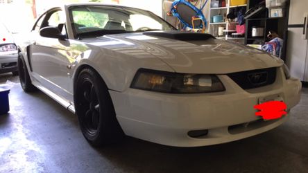 2002 mustang gt trade obo