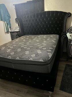 Bed Frame 