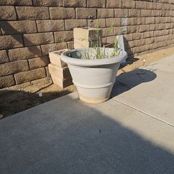 2 Large Plant Pots