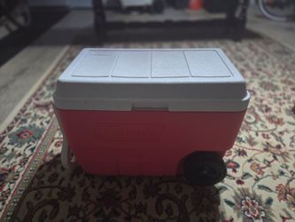 Igloo Cooler