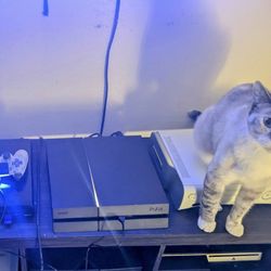 PS4 (9.00 OFW) – Perfect for Custom Firmware