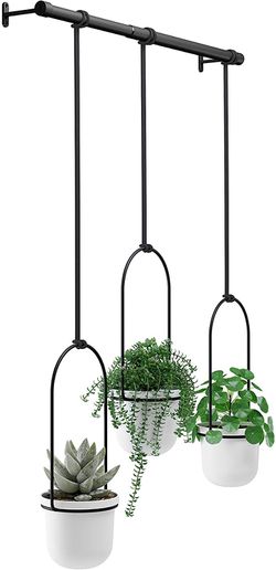 Triflora Hanging Planter, for Succulents, Herbs and Other Small Plants, Triple, White/Black