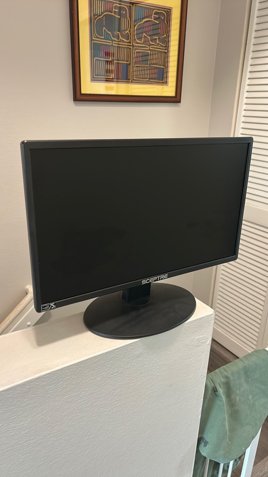 Sceptre 20” monitor