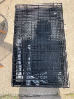 Collapsible dog crate New