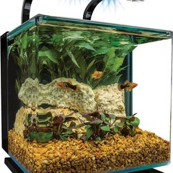 Fish tank 3-gallon with supplies