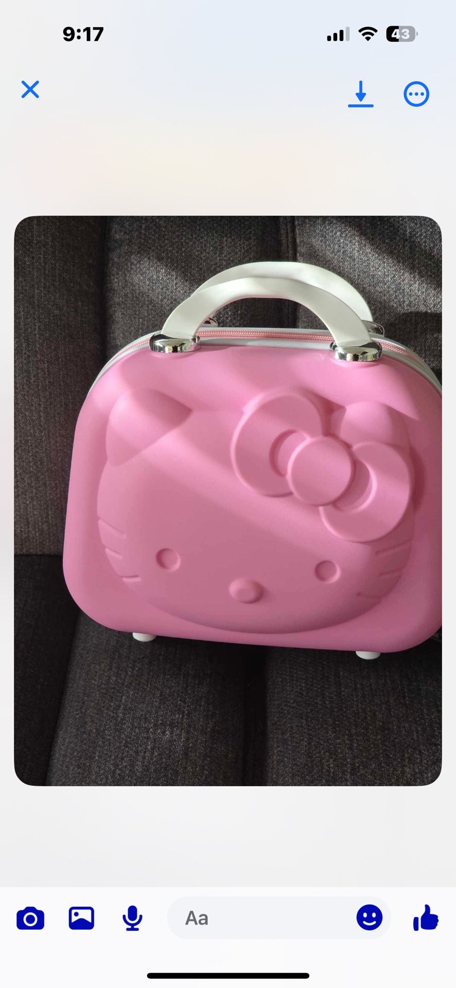 Hello Kitty Cosmetic Bag / Luggage Bag