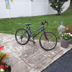 Mountain Bicycle New Condition