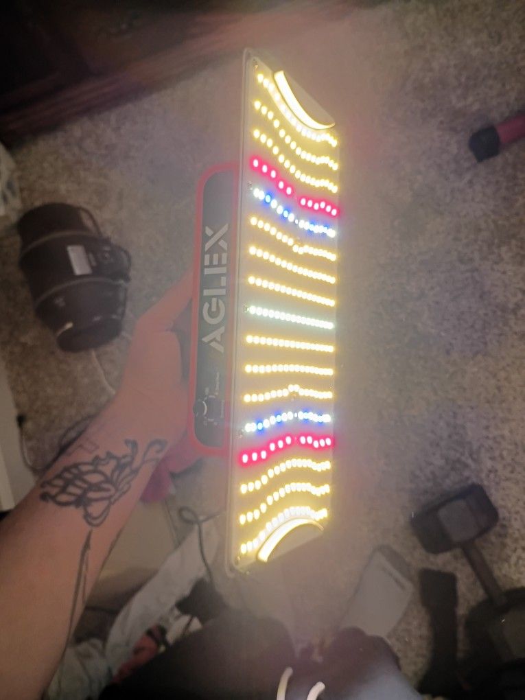 Grow Light 100w