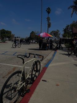 Tsunami fixie