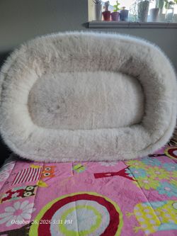 New Luxurious Kirkland Signature Dog Bed