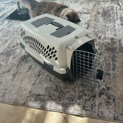 Cat Kennel