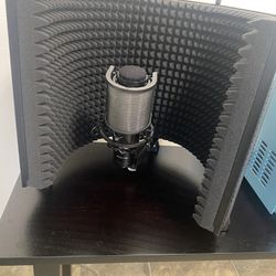 Studio Microphone and Isolation Field and Filter
