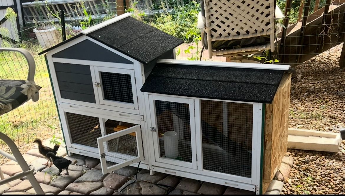 Chicken Coop