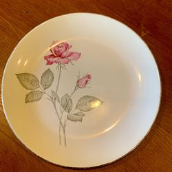 Zylstra USA 10" Dinner Plate ~ Zylstra Rose ~ silver trimmed Permacal Porcelain