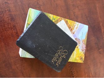English and Spanish bible