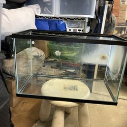 10 Gallon Tank With Log For Turtle 