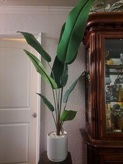 Artificial Plant