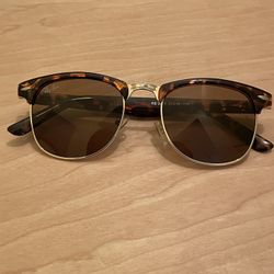 Rayban Tortoise Clubmaster Brown Unisex Sunglasses