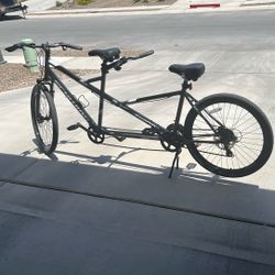 Schwinn Large Twin Bike