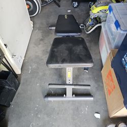 Workout Bench