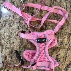 Harnessed