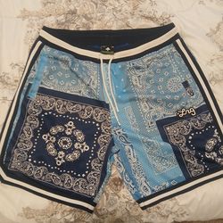 LRG  color Blue Pasley